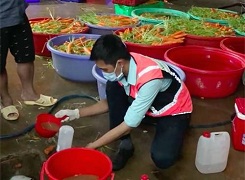 8 vụ thực phẩm bẩn chấn động năm 2019