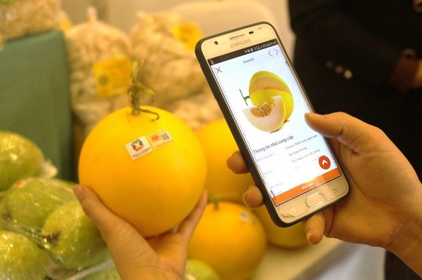 Sự khác biệt giữa truy xuất thông tin và truy xuất nguồn gốc